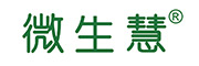 微生慧 微生慧