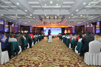 金龍起舞辭舊歲，銀蛇歡歌啟新程